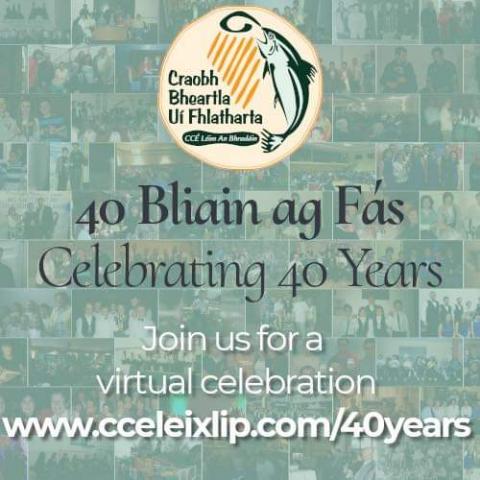 CCE Leixlip Celebrating 40 Years Image