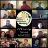 Image showing CCE Leixlip Committee members on a Video Call